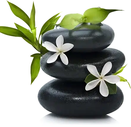 FlorenVITA - fiore di Bamboo